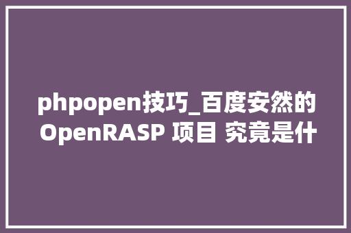 phpopen技巧_百度安然的 OpenRASP 项目 究竟是什么