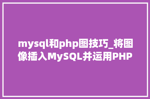 mysql和php图技巧_将图像插入MySQL并运用PHP检索图像