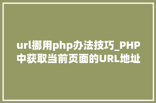 url挪用php办法技巧_PHP中获取当前页面的URL地址的方法