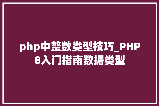 php中整数类型技巧_PHP8入门指南数据类型