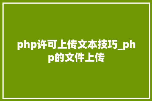 php许可上传文本技巧_php的文件上传