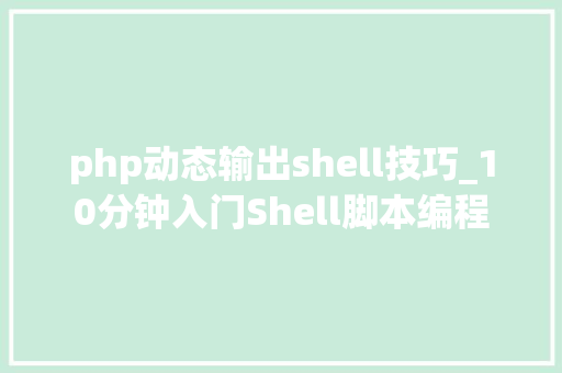 php动态输出shell技巧_10分钟入门Shell脚本编程