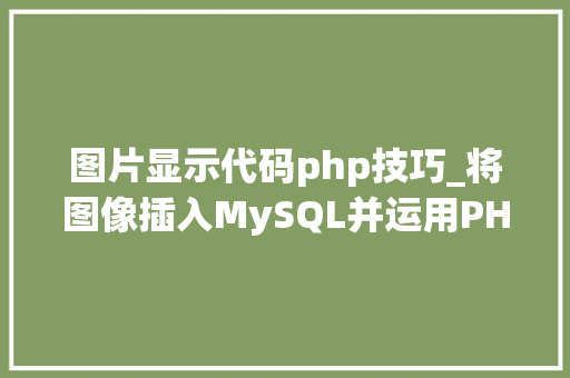 图片显示代码php技巧_将图像插入MySQL并运用PHP检索图像