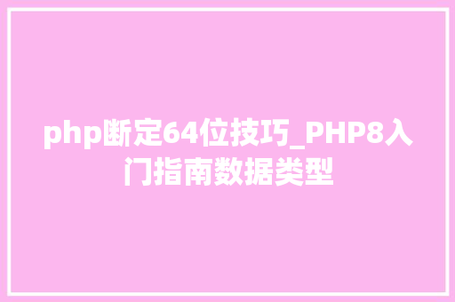 php断定64位技巧_PHP8入门指南数据类型