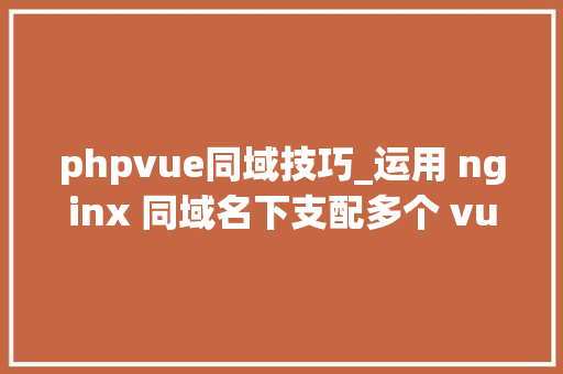 phpvue同域技巧_运用 nginx 同域名下支配多个 vue 项目并运用反向代理