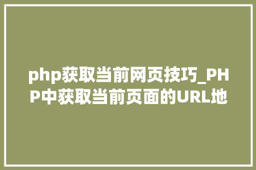 php获取当前网页技巧_PHP中获取当前页面的URL地址的方法