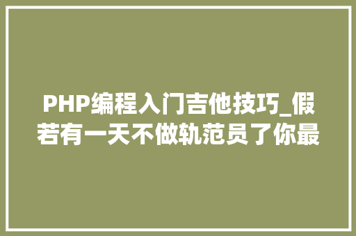 PHP编程入门吉他技巧_假若有一天不做轨范员了你最想做什么