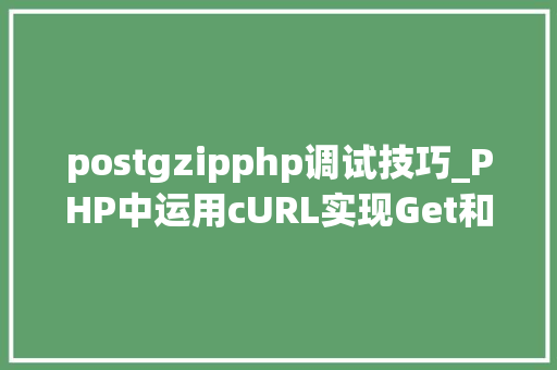 postgzipphp调试技巧_PHP中运用cURL实现Get和Post请求的方法最全