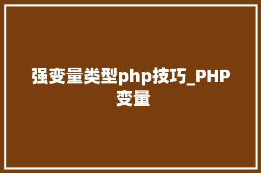 强变量类型php技巧_PHP 变量
