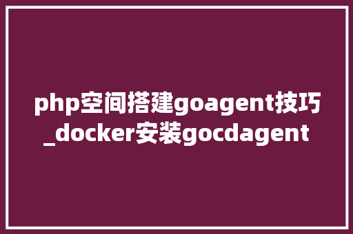 php空间搭建goagent技巧_docker安装gocdagent