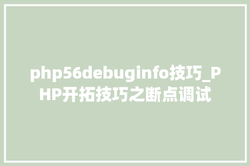 php56debuginfo技巧_PHP开拓技巧之断点调试