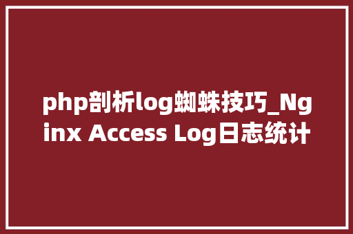php剖析log蜘蛛技巧_Nginx Access Log日志统计分析常用敕令