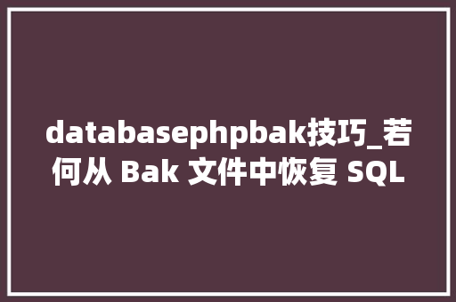 databasephpbak技巧_若何从 Bak 文件中恢复 SQL数据库3种方法