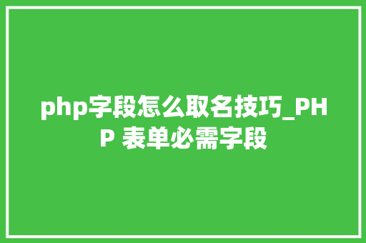 php字段怎么取名技巧_PHP 表单必需字段