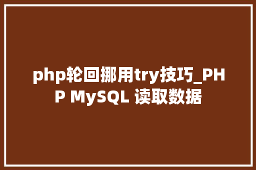 php轮回挪用try技巧_PHP MySQL 读取数据