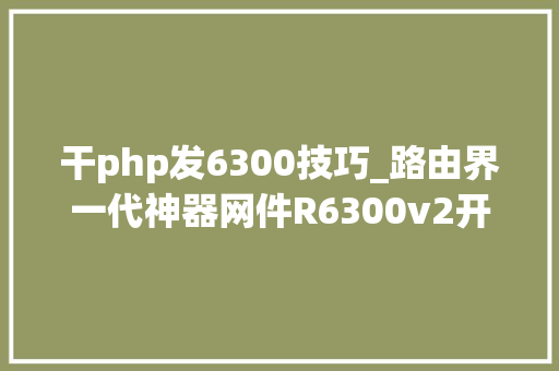 干php发6300技巧_路由界一代神器网件R6300v2开箱