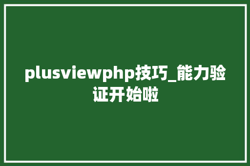 plusviewphp技巧_能力验证开始啦