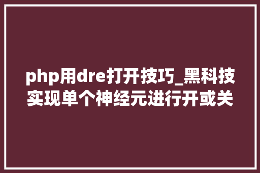 php用dre打开技巧_黑科技实现单个神经元进行开或关