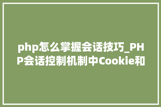 php怎么掌握会话技巧_PHP会话控制机制中Cookie和Session的应用你更喜好谁