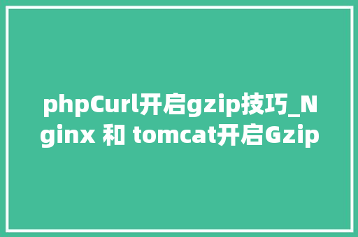phpCurl开启gzip技巧_Nginx 和 tomcat开启Gzip功能的方法
