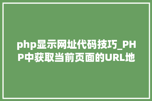 php显示网址代码技巧_PHP中获取当前页面的URL地址的方法