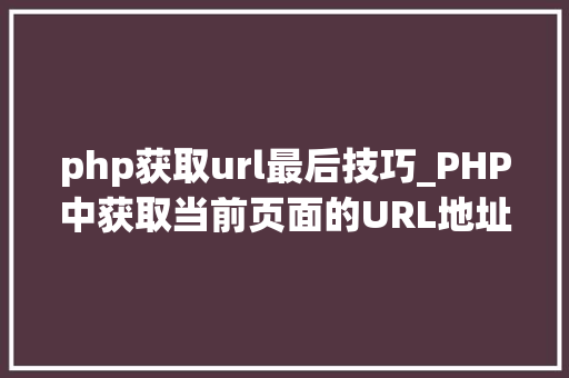 php获取url最后技巧_PHP中获取当前页面的URL地址的方法