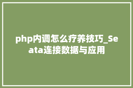 php内调怎么疗养技巧_Seata连接数据与应用
