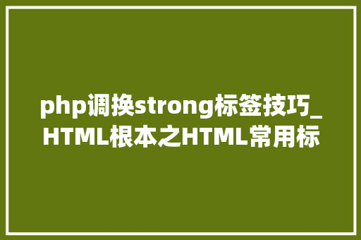 php调换strong标签技巧_HTML根本之HTML常用标签