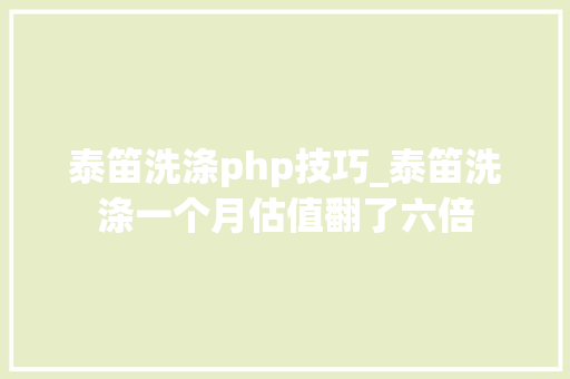 泰笛洗涤php技巧_泰笛洗涤一个月估值翻了六倍
