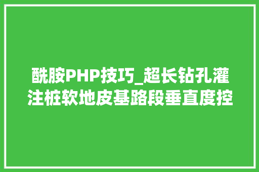 酰胺PHP技巧_超长钻孔灌注桩软地皮基路段垂直度控制技能