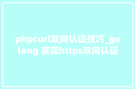 phpcurl双向认证技巧_golang 实现https双向认证 phpcurl双向认证技巧_golang 实现https双向认证 PHP教程