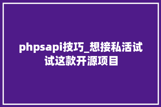 phpsapi技巧_想接私活试试这款开源项目