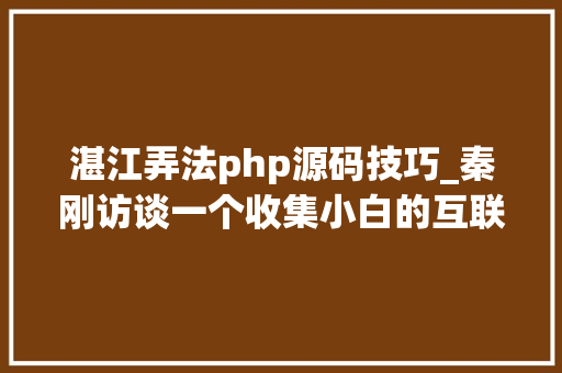 湛江弄法php源码技巧_秦刚访谈一个收集小白的互联网创业之路