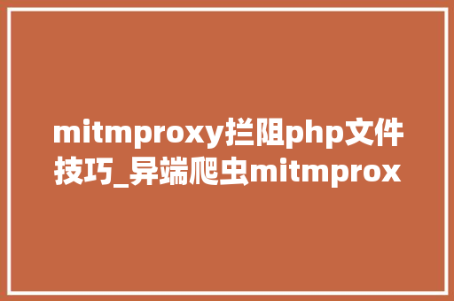 mitmproxy拦阻php文件技巧_异端爬虫mitmproxy详解