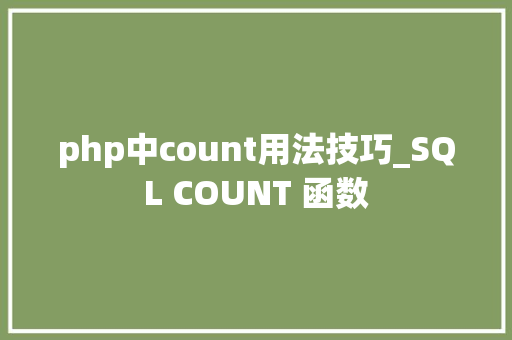 php中count用法技巧_SQL COUNT 函数