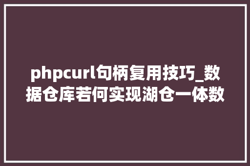 phpcurl句柄复用技巧_数据仓库若何实现湖仓一体数据分析