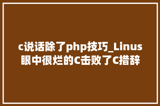 c说话除了php技巧_Linus眼中很烂的C击败了C措辞