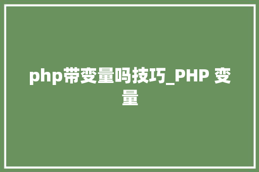 php带变量吗技巧_PHP 变量