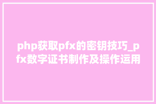 php获取pfx的密钥技巧_pfx数字证书制作及操作运用