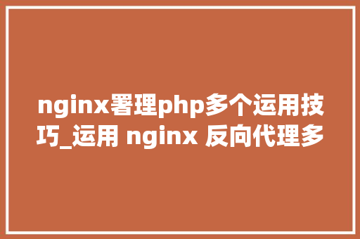 nginx署理php多个运用技巧_运用 nginx 反向代理多个 docker 容器