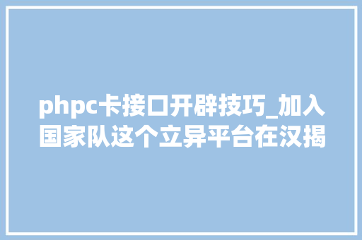 phpc卡接口开辟技巧_加入国家队这个立异平台在汉揭牌