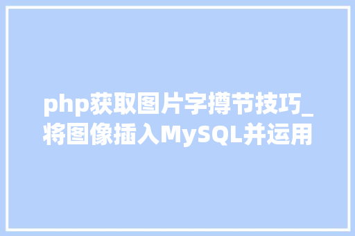 php获取图片字撙节技巧_将图像插入MySQL并运用PHP检索图像