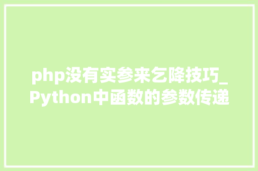 php没有实参来乞降技巧_Python中函数的参数传递形介入实参