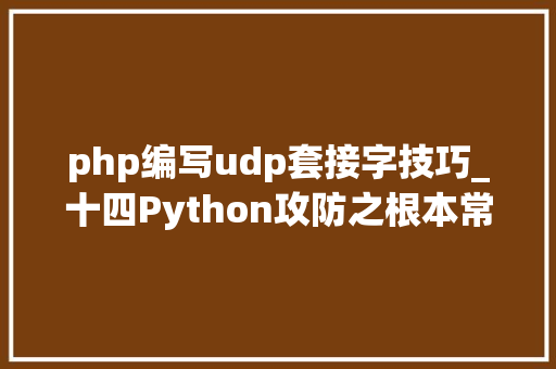 php编写udp套接字技巧_十四Python攻防之根本常识正则表达式Web编程和套接字通信