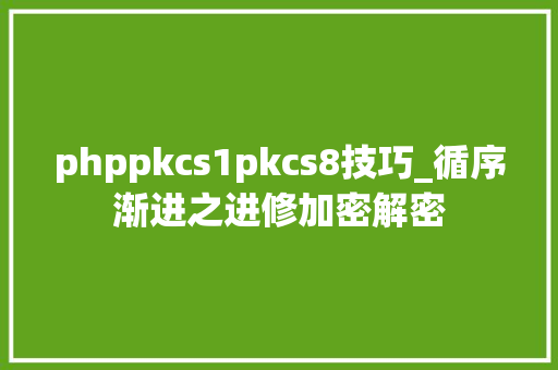 phppkcs1pkcs8技巧_循序渐进之进修加密解密