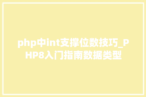 php中int支撑位数技巧_PHP8入门指南数据类型