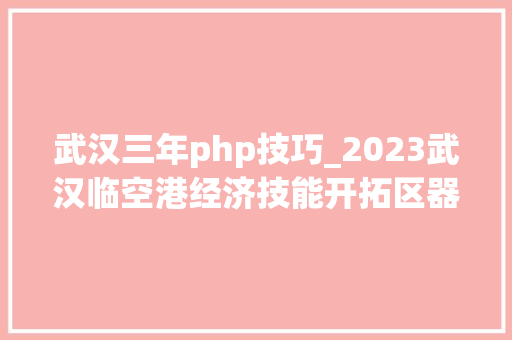 武汉三年php技巧_2023武汉临空港经济技能开拓区器械湖区招聘聘任制教师283人