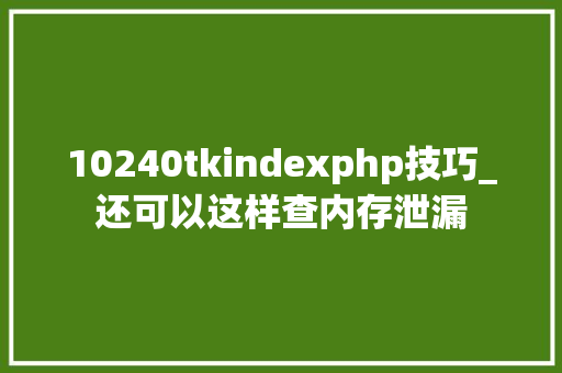 10240tkindexphp技巧_还可以这样查内存泄漏