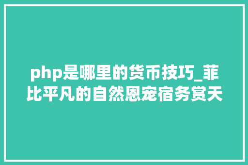 php是哪里的货币技巧_菲比平凡的自然恩宠宿务赏天然美景不雅观萌化心田的小萌猴