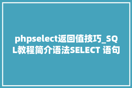 phpselect返回值技巧_SQL教程简介语法SELECT 语句SELECT DISTINCT 语句